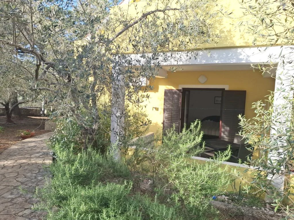 Apartmani Galius – fotografija 5