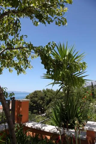 Apartmani Lasić – fotografija 3