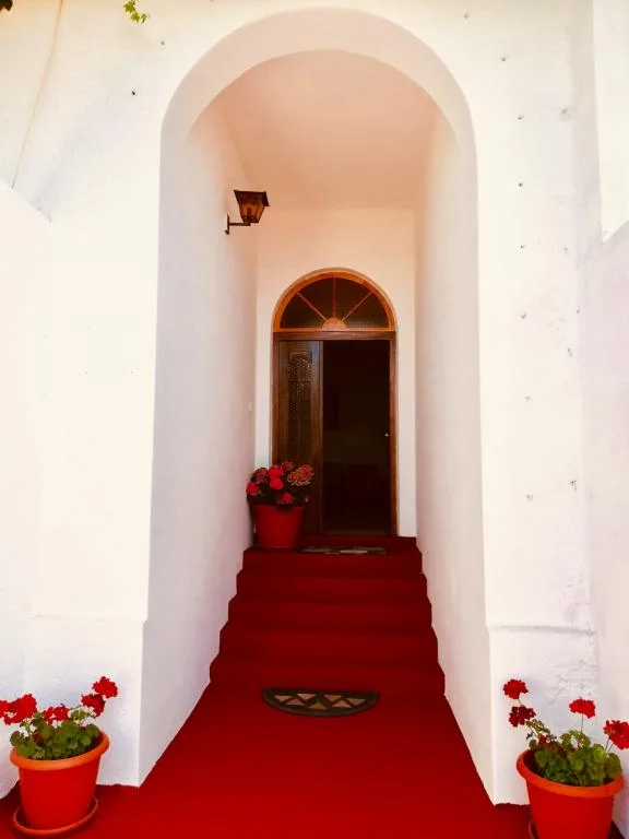 Apartmani Alexa – fotografija 6