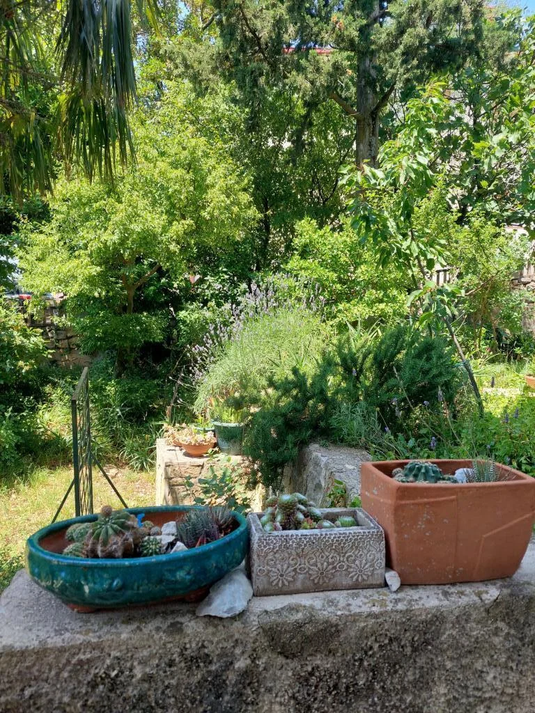 Apartmani Sandra – fotografija 5
