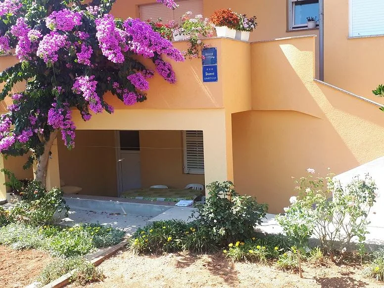 A4 – fotografija 2