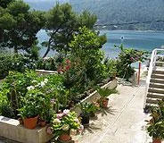Apartmani Bujak – fotografija 5