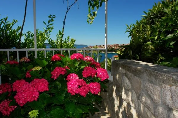 Apartmani Mare Šego – fotografija 2