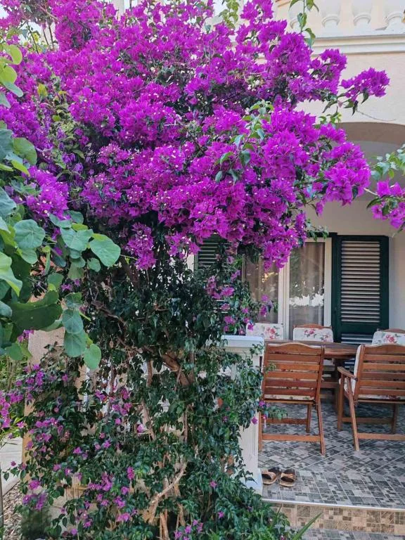 Apartmani Marija Jelečević – fotografija 5