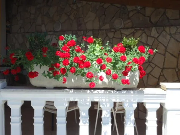 Apartmani Manja – fotografija 5