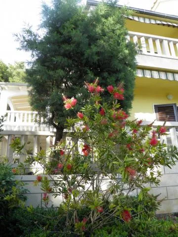 Apartmani Zoran – fotografija 6
