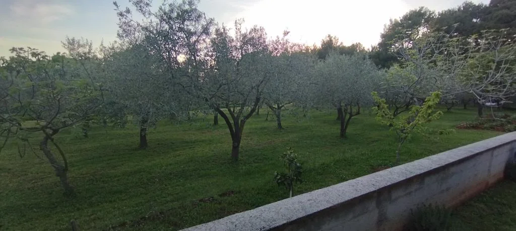 Apartmani Suzy – fotografija 4