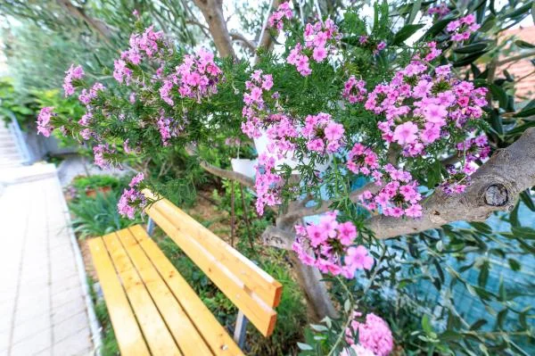 Apartmani Ulix – fotografija 5