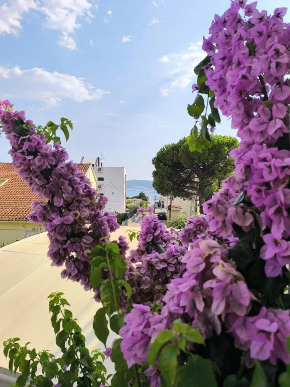Apartmani Vera – fotografija 3