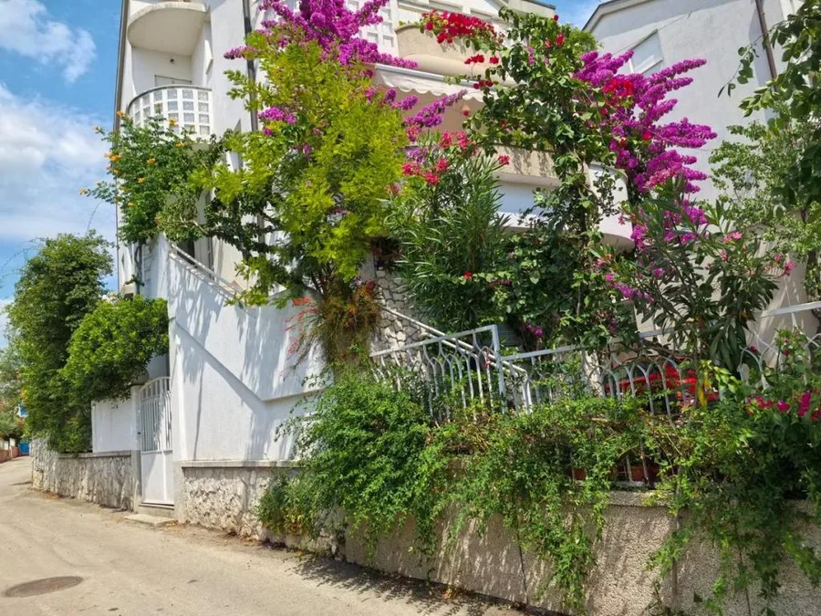 A4+1 – fotografija 2