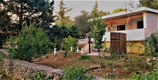 Apartman Vajda – fotografija 6