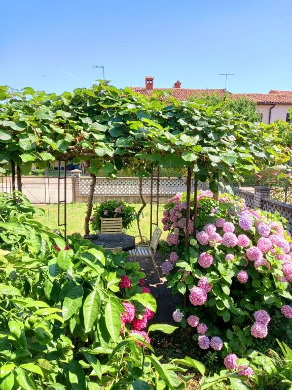 Apartmani Tea – fotografija 6