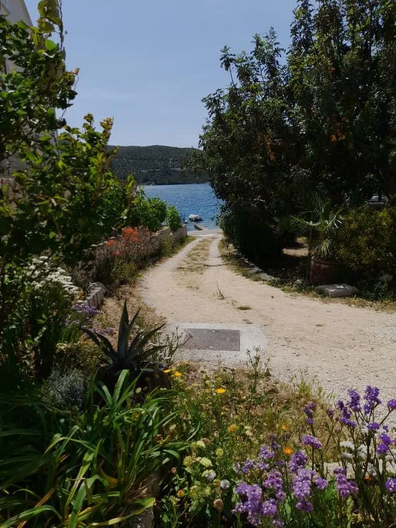Sobe Zec – fotografija 4