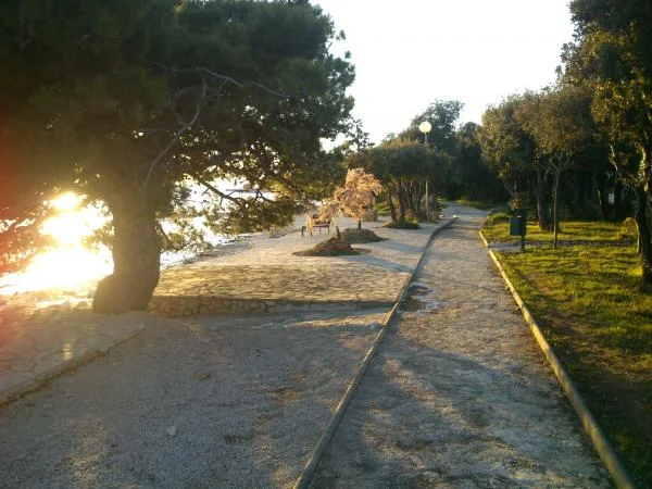 Apartmani Dani – fotografija 4