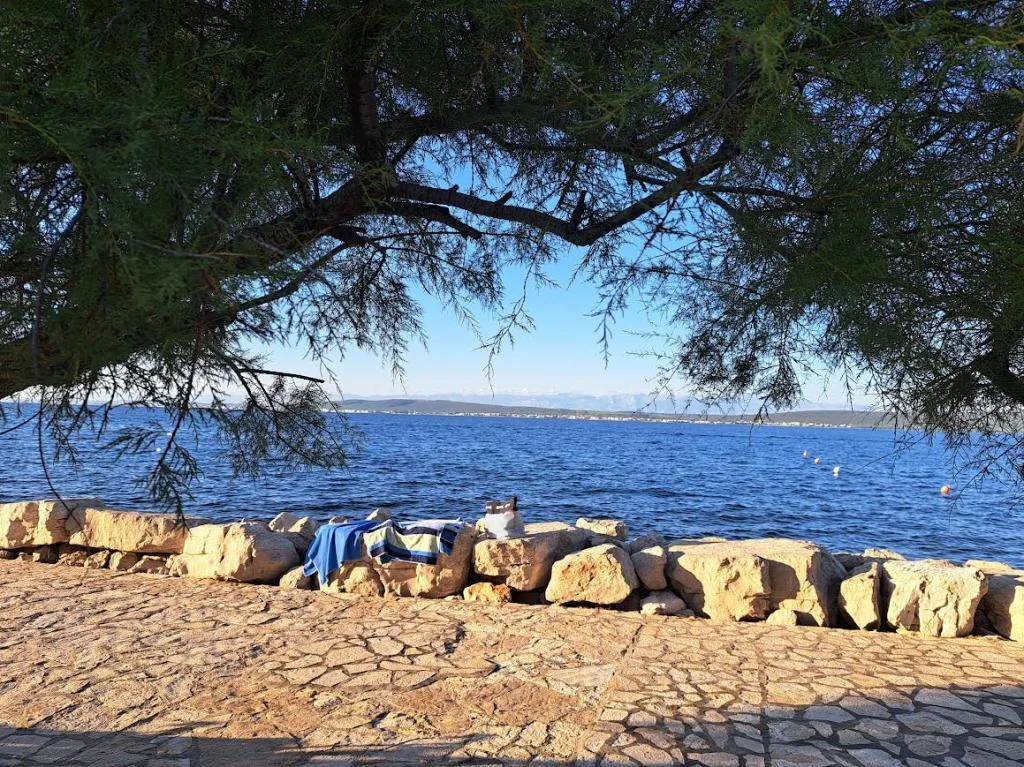 Apartmani Villa Banjka – fotografija 6