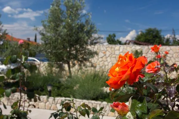 Apartmani Vesna Softić – fotografija 4