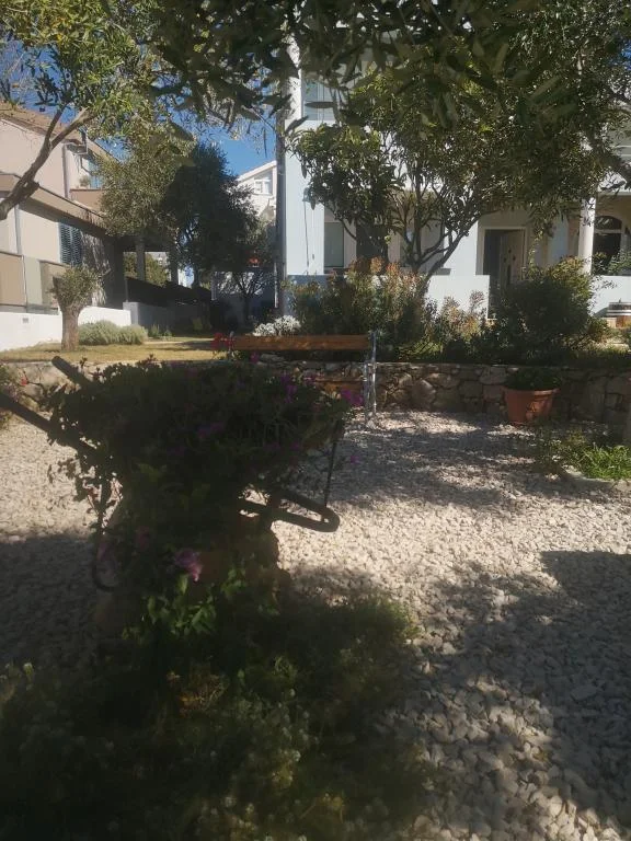 Apartmani Peša – fotografija 6