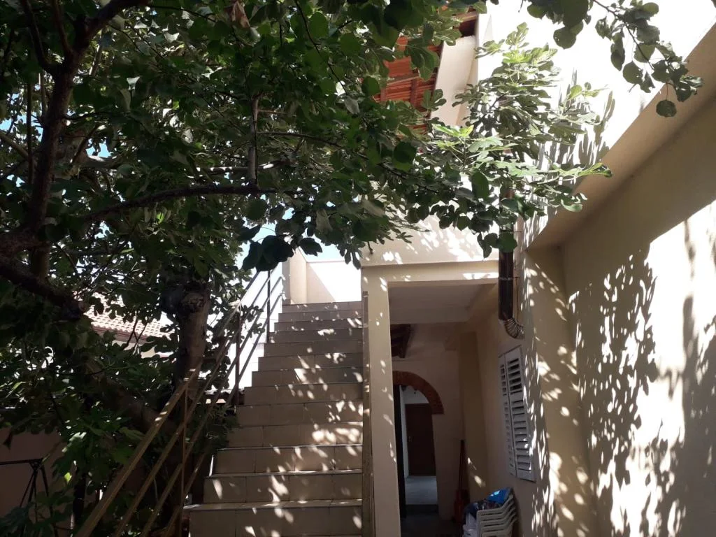 Apartmani Zlata – fotografija 6