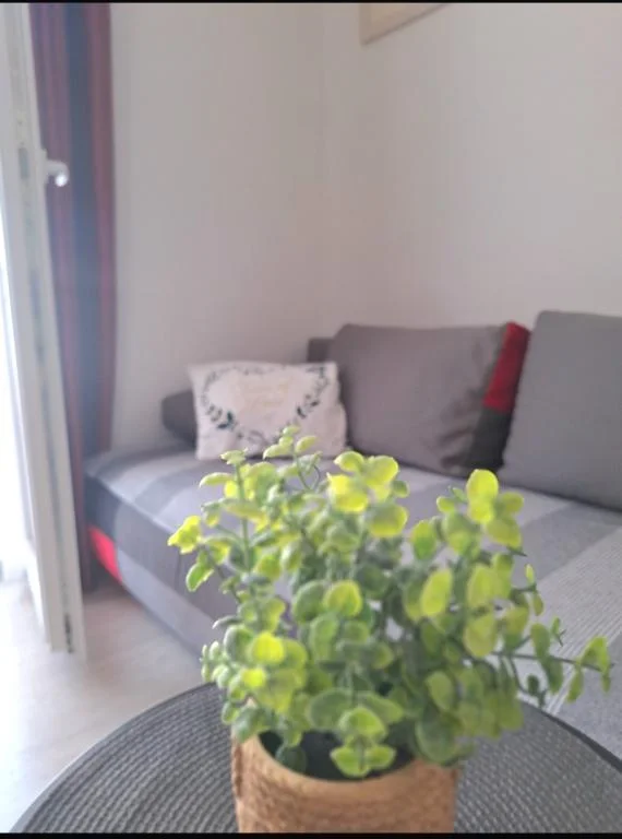 Apartman Ena – fotografija 6