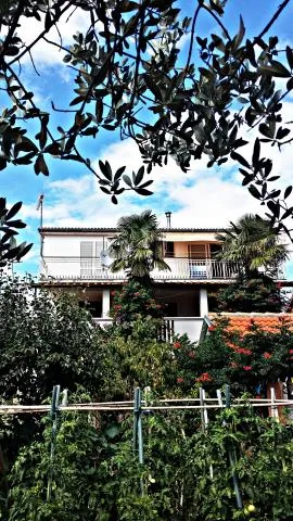 Apartmani Ante – fotografija 2