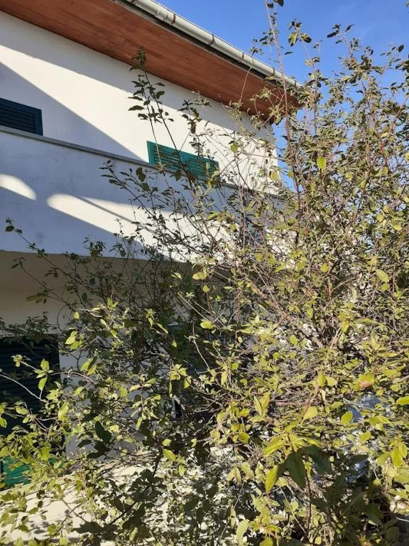 Apartmani Žarko – fotografija 4