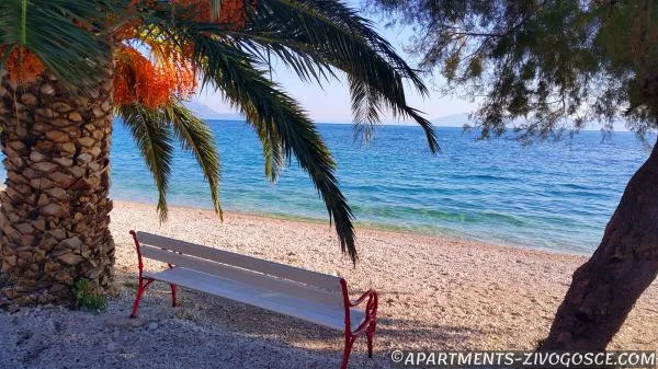 Apartmani Ferdo – fotografija 6
