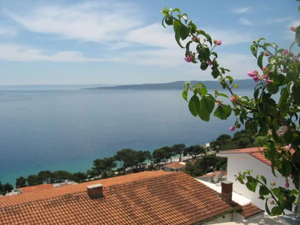 Apartmani Joni – fotografija 4