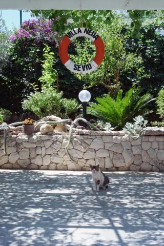 Apartmani Villa Neda – fotografija 6