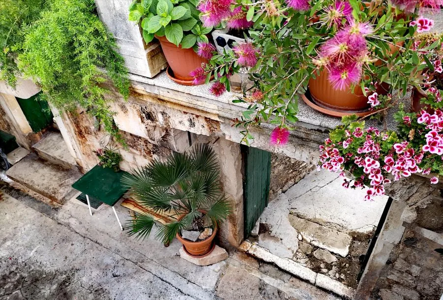 Apartmani Hadriaticum 2 – fotografija 2