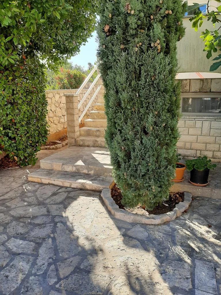 Apartmani Cvrčak – fotografija 3