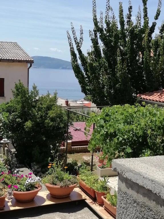 Apartmani Ivo – fotografija 5
