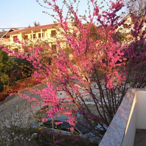 Apartmani Macura – fotografija 6