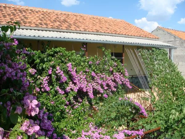 Apartmani Ivica – fotografija 2