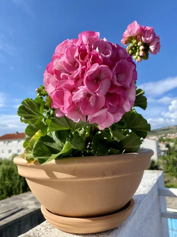 Apartmani Perlica – fotografija 5