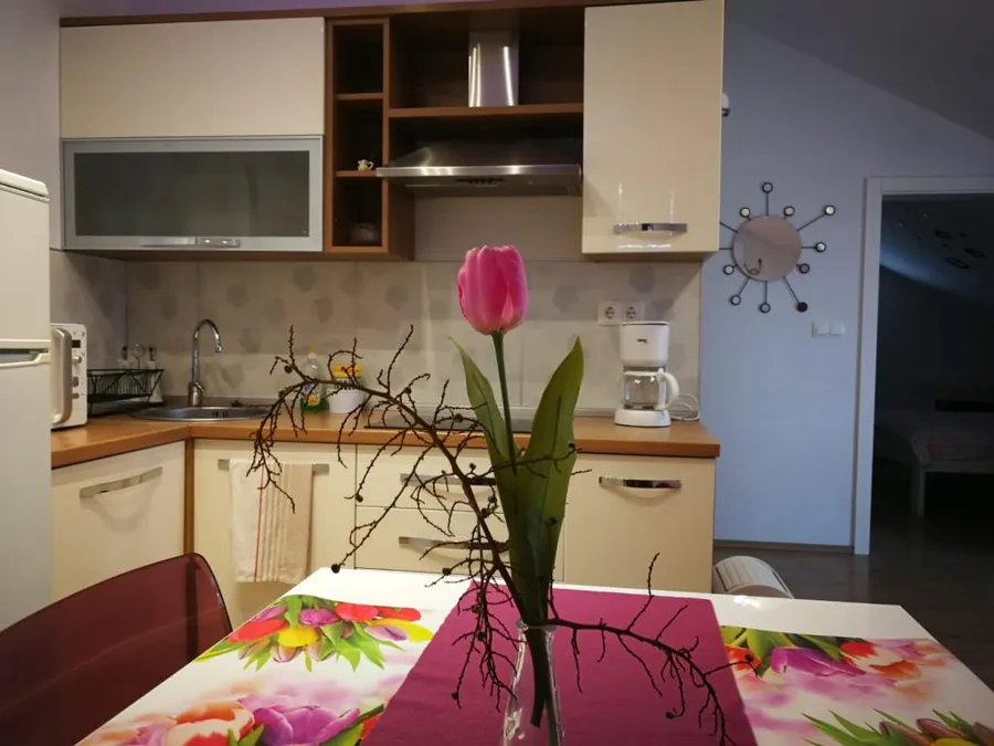 A2+2 – fotografija 2