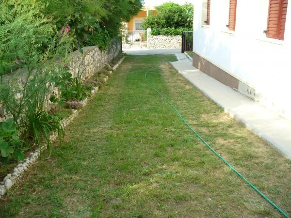 Apartmani Pogačić – fotografija 6
