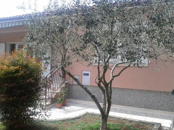 Apartmani Stefanija – fotografija 6