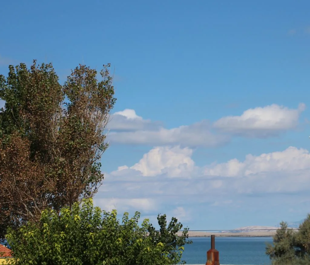 Apartmani Franiva – fotografija 5