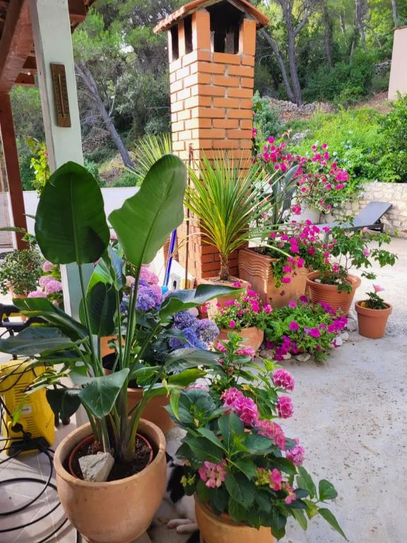 Apartmani Bojanic – fotografija 6