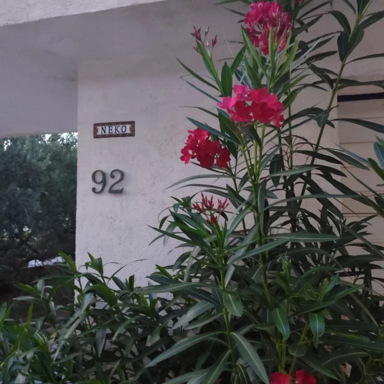 Apartmani Neko – fotografija 5