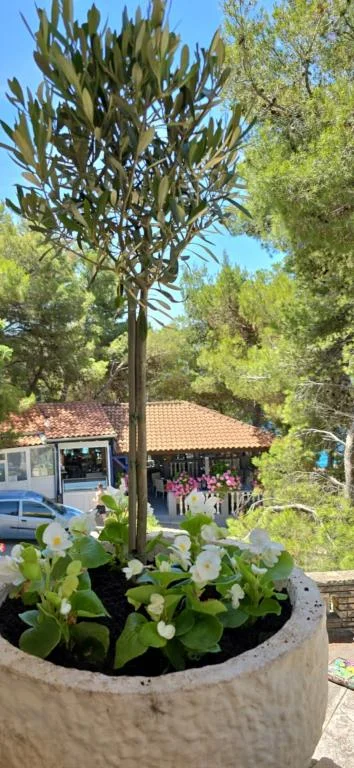 Apartmani Tila – fotografija 5