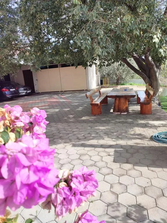 Apartmani Svirčić – fotografija 3