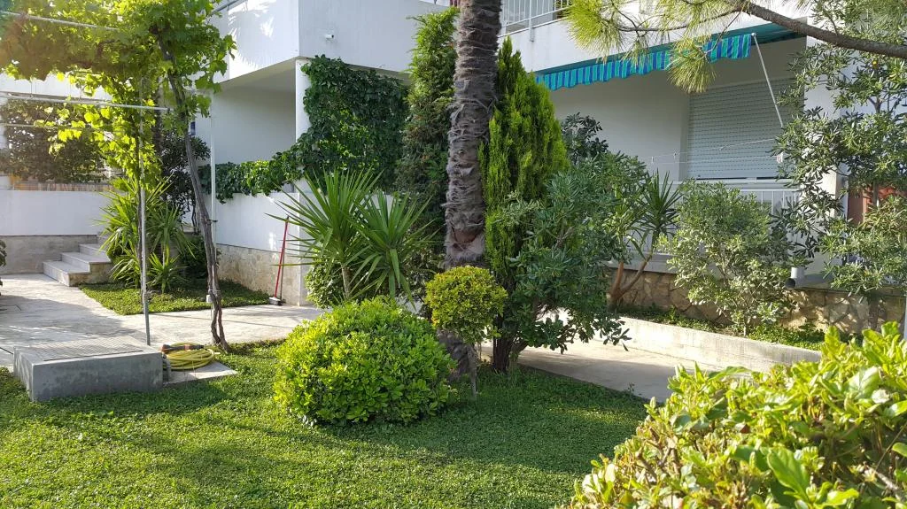 Apartmani Kornat Murter – fotografija 4