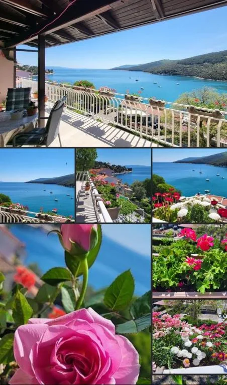Apartmani Lola – fotografija 4