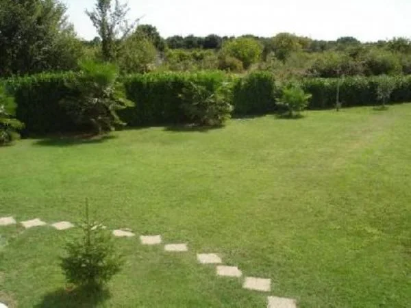 Apartmani Mediteranea – fotografija 3