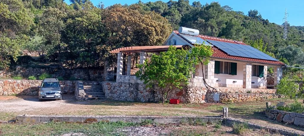 Olea – fotografija 4
