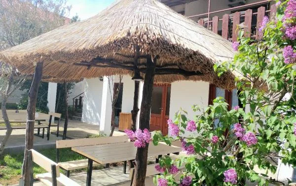 Apartmani Lola – fotografija 3