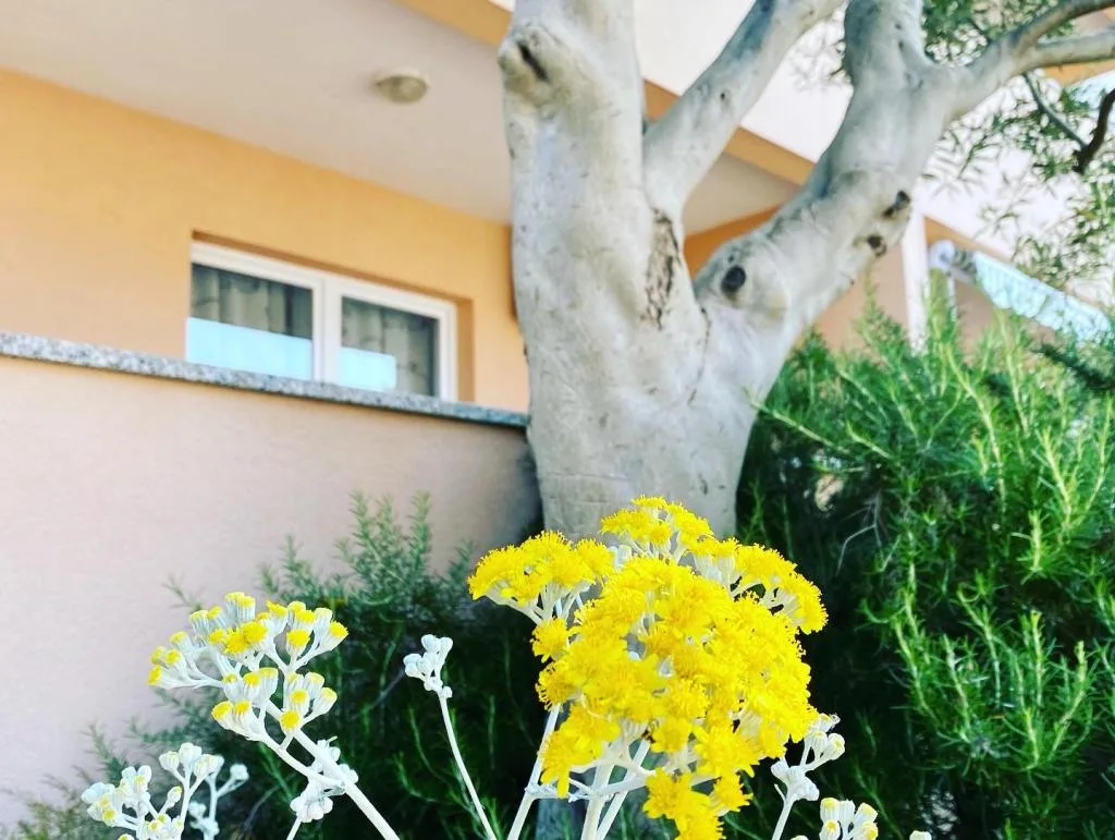 Apartmani Ivana Vidalici – fotografija 5