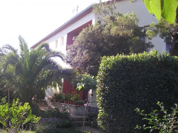 Apartmani Villa Nikolina – fotografija 3