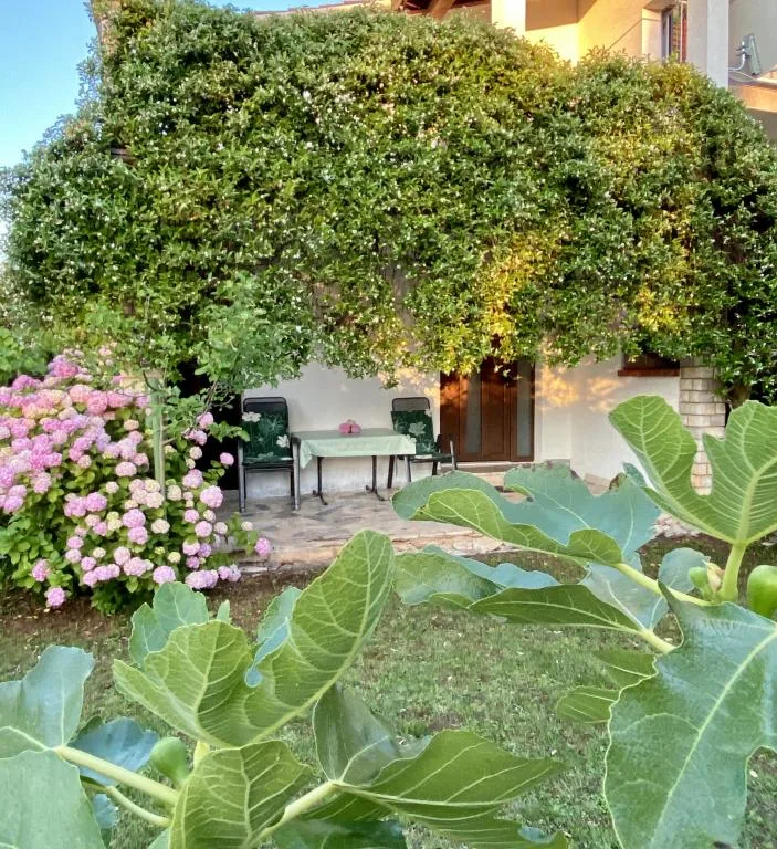 A2+1 – fotografija 2